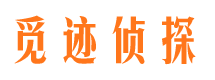 丰满市侦探调查公司